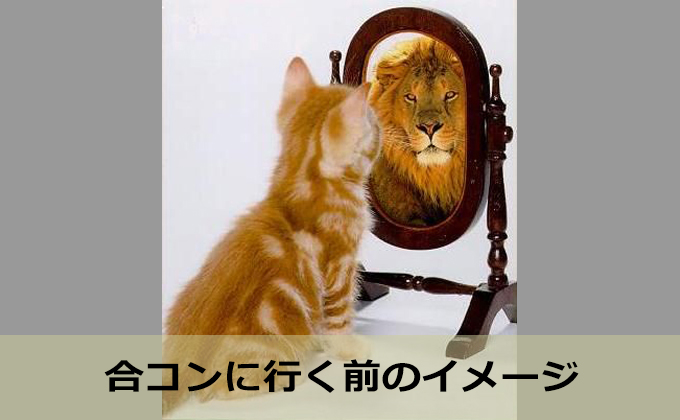 合コンに行く前のイメージ・猫が鏡を見ると中はライオン